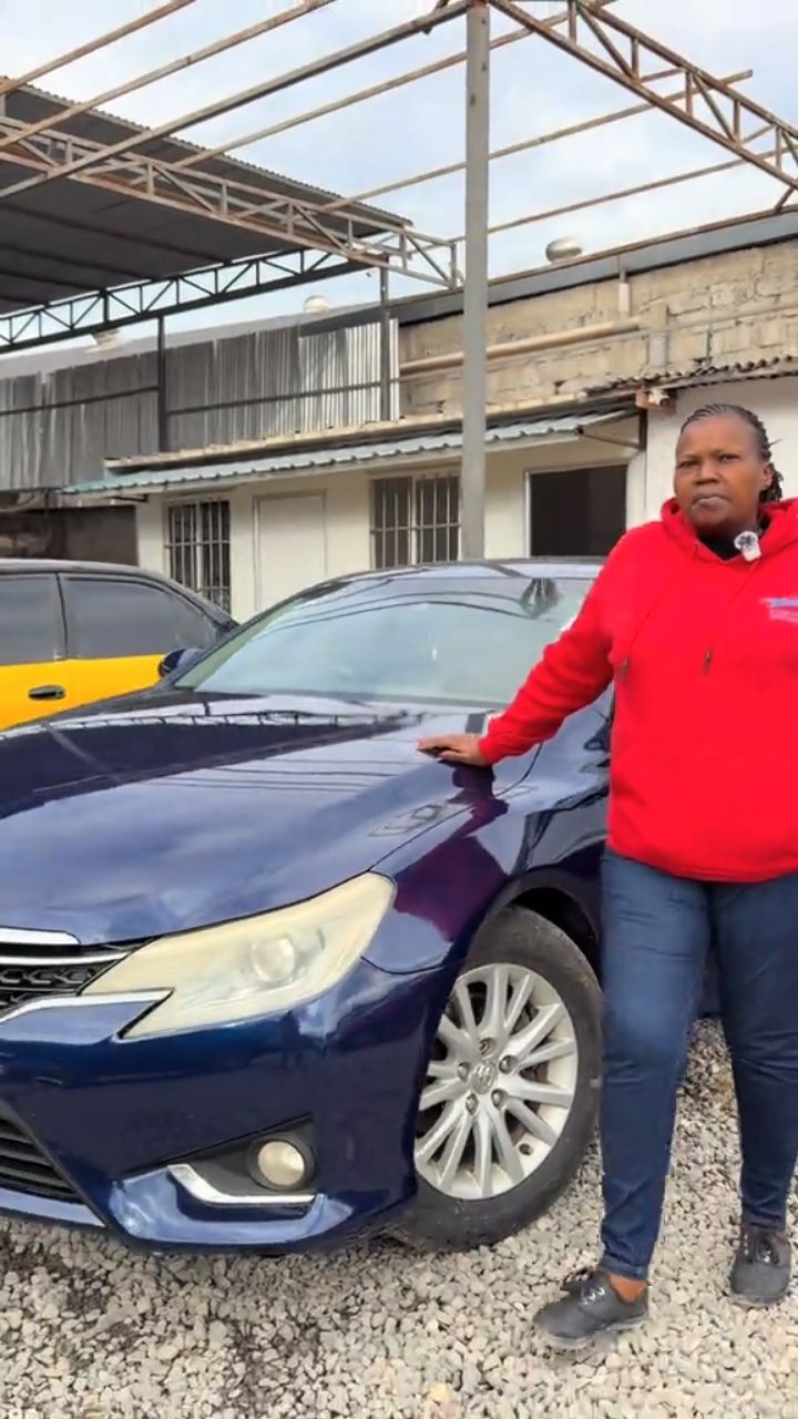 Toyota Mark X — full respray